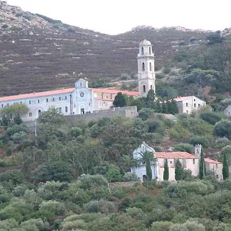 Le Bois De Capra Scorsa Villa Belgodere (Corsica)