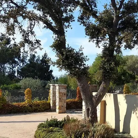 Le Bois De Capra Scorsa Belgodère